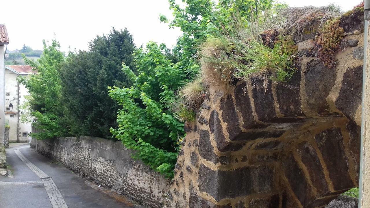 Le Petit Dyke Apartment Le Puy-en-Velay Bagian luar foto